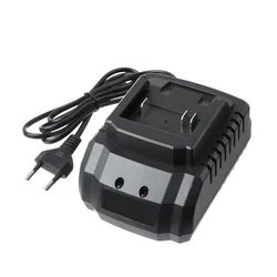 Versatile Dual-Voltage Charger (LW-CDQ-CE)