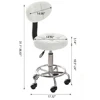 Modern Office Desk Chair Rolling Stool Computer Chair with Low Back Height Adjustable Work Home Salon Drafting Swivel Task Chair 6