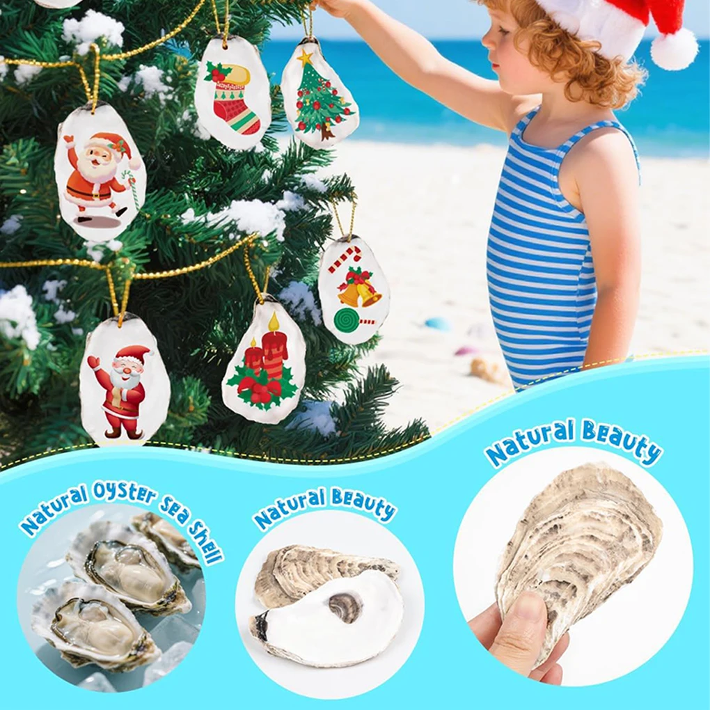 Natural Oyster Shells - Eco-Friendly Vase Fillers for DIY Crafts and Home Decor