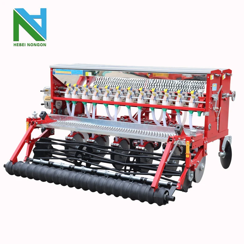 Рисунок 2 - 14 рядов пшеницы