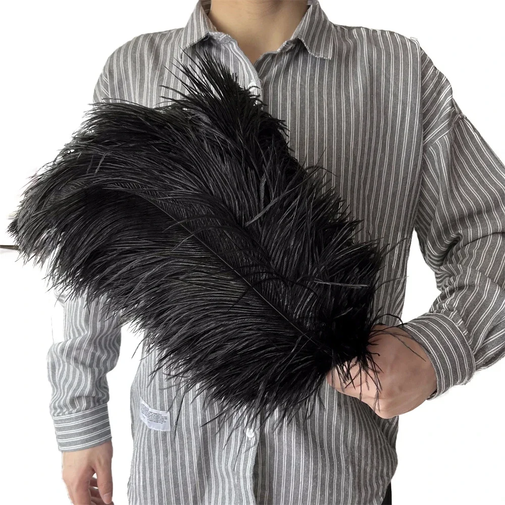 thumbnail image 1 of 10 piezas/lote de plumas de avestruz blancas naturales para manualidades, 15-45 cm, decoración de bodas, fiestas, centros de mesa, carnaval, Plumas Deco, 1 of 5