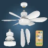 Dimmable light Color temperature Modern ceiling Mount Remote Control smart E27 Led Ceiling Fan Light 4