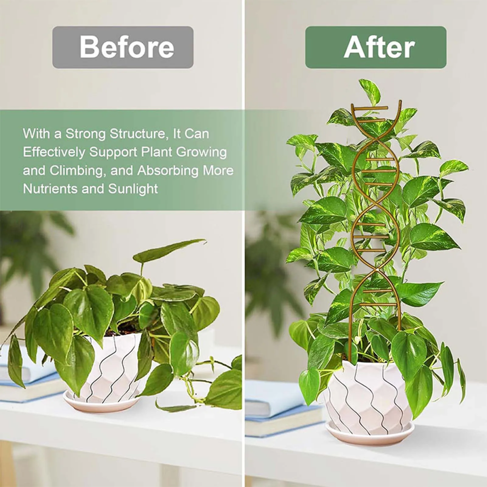Metal Plant Climbing Support Rack Plant Trellis Vine Growth Climbing Rack Plants Flower Support Protection Garden Supplies