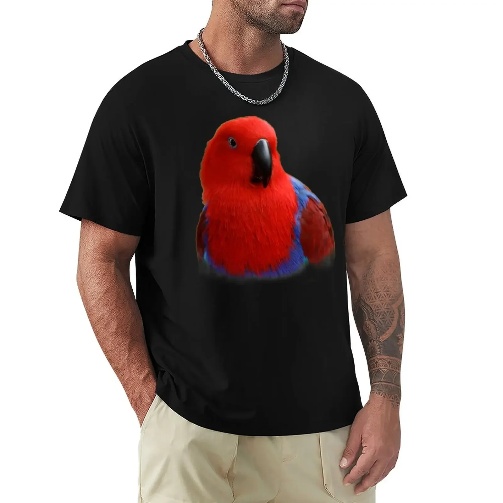 

Beautiful Lady in Red Eclectus Parrot T-Shirt cute tops tops sublime summer tops Men's clothing