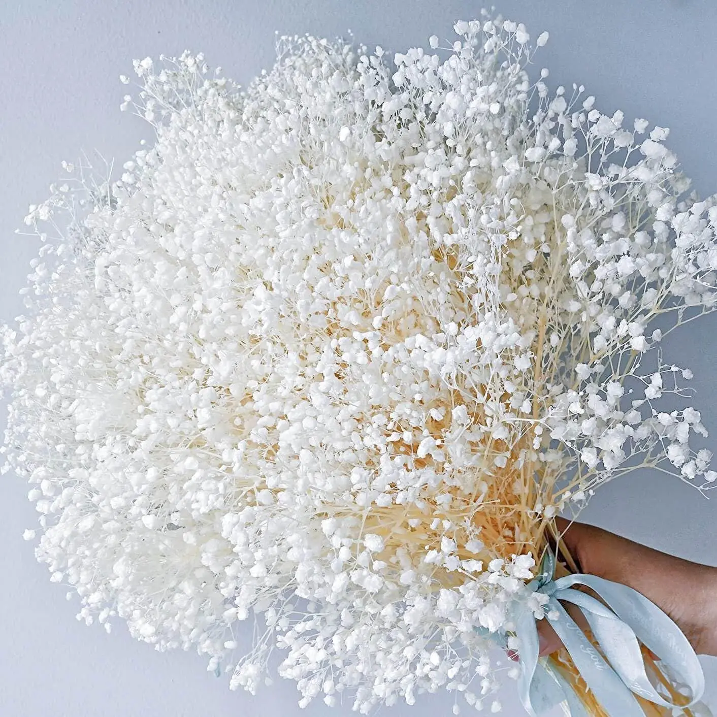 Dried Flowers Babys Breath Flowers Bouquet Natural Real Gypsophila Branches  for Wedding Wreath Floral, Boho Decor,Dry Flowers