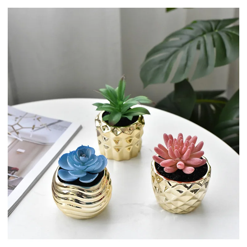 Golden succulent flower pot ceramic creative desktop flower pot flower pot living room decoration  vase decoration household 5