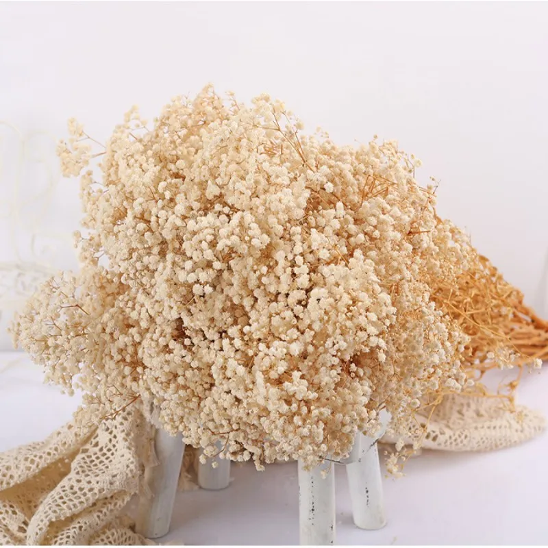 YIWOYI Ramo de flores secas naturales Gypsophila Paniculata preservadas  para decoración del hogar y fiestas de boda (blanco, 30-40 cm, 30 g)
