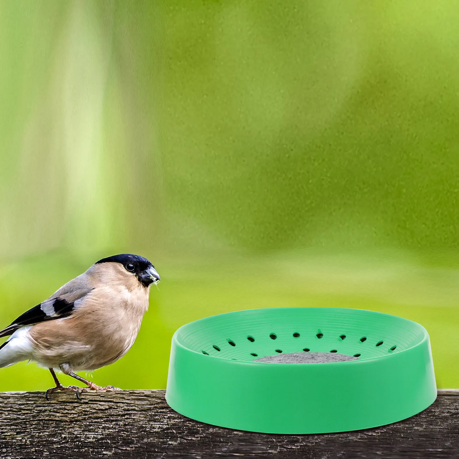 Bird Cage bird cage bird nest bird egg nest 4 Pcs Pigeon Coop Quail Breeding Nest Bird Cage Parrot Dove Nesting Bowl Plastic Bed
