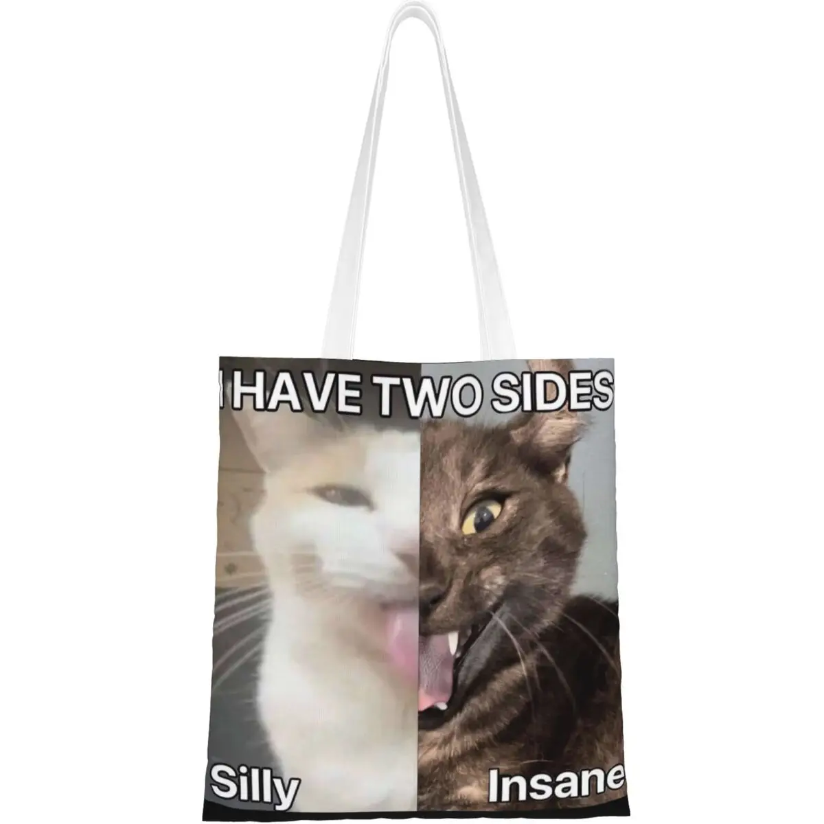 

I Hace Two Sides Silly And Lnsane Meme Canvas Tote Handbag Grocery Bags Shopper Bags for Women