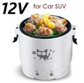 12V for Car