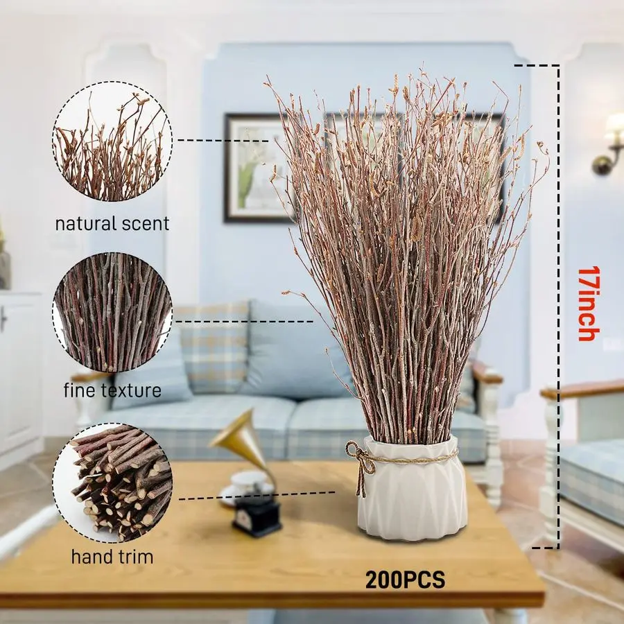 Birch twigs display example