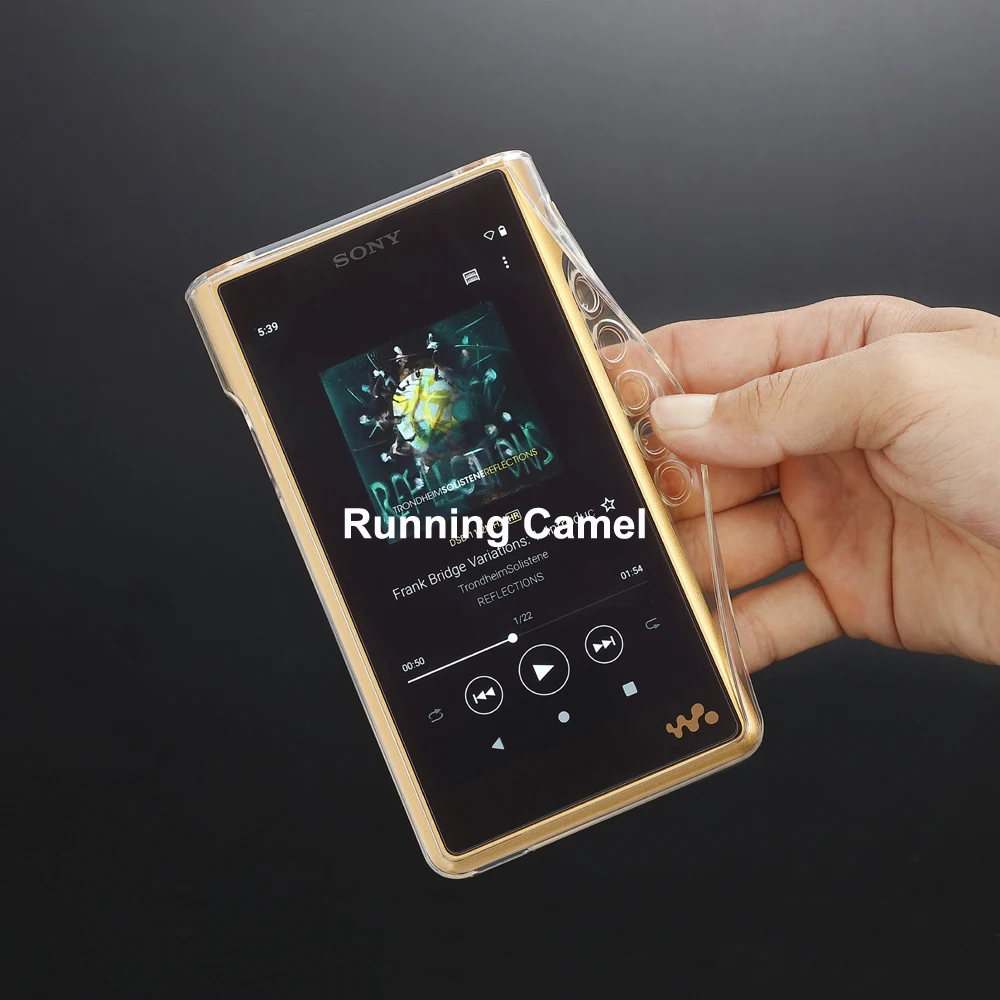 極美品⁄ワンオーナーSONY NW-WM1ZM2 ソニーストア購入 室内使用 SONY SONY