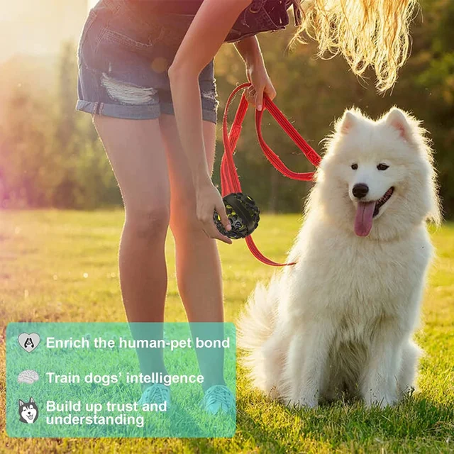 Dog Toy Ball  Interactive Fetch Dog Ball with Fun Squeaky Giggle Sound, Durable for Small Medium Large Dogs, Non-Toxic Elastic 6