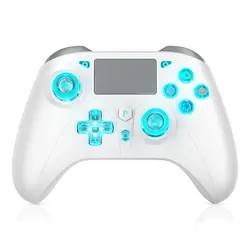 Enhanced Wireless Gaming Controller with Turbo Function and RGB Lighting (E08 - 03 - 373)