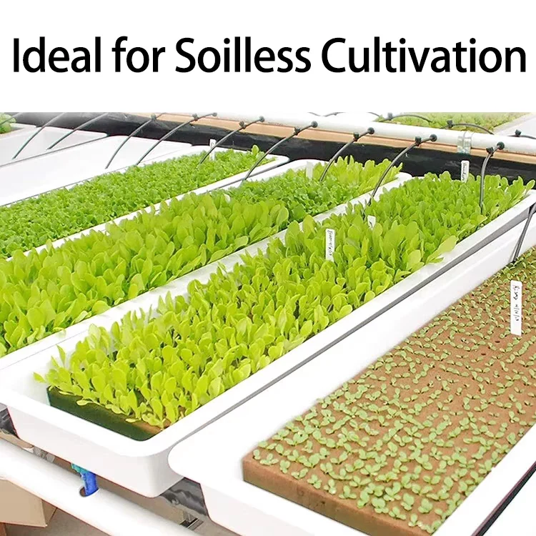 Rock Wool Starter Plugs Rock Wool Grow Cubes Seed Starters Planting Cubes Hydroponics Cuttings Garden Plant Propagation Grow Hydroponic Grow Media Cubes Seed Starter Plugs Soilless Planting Substrate