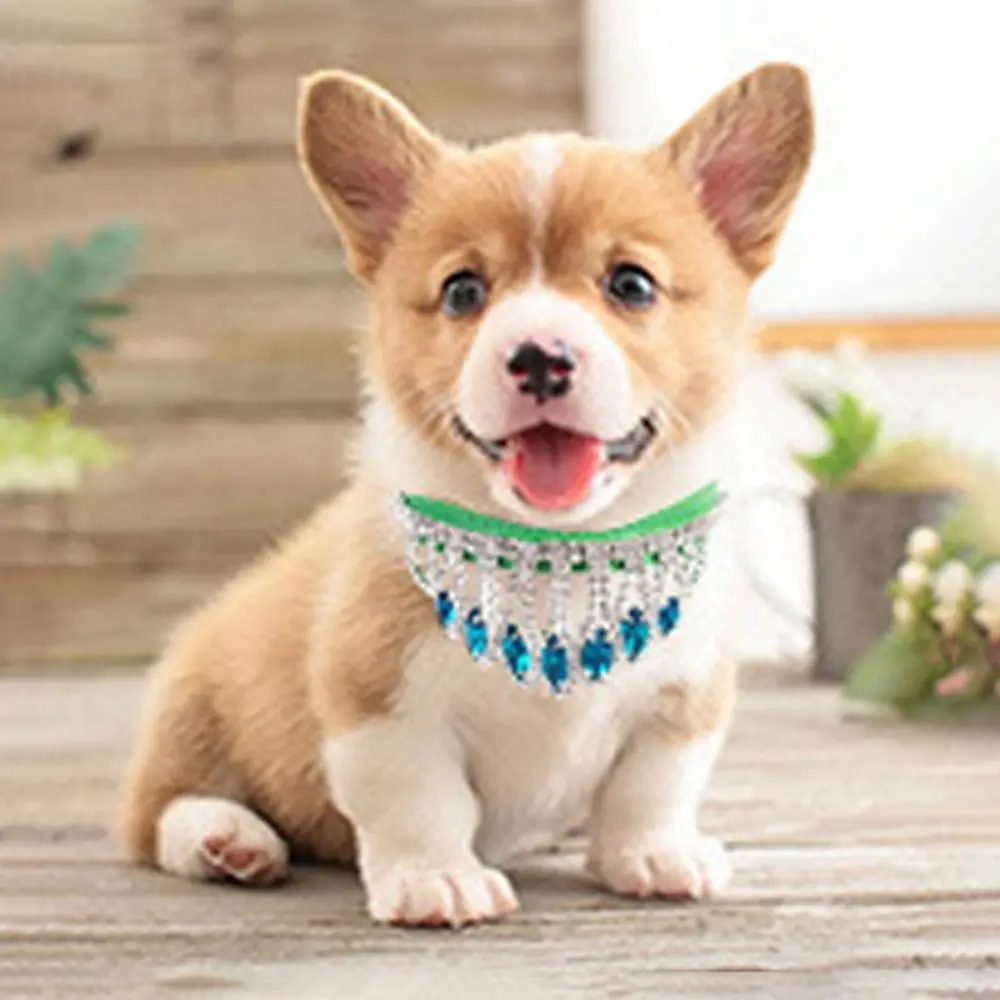 Picture of Fashion-2023-Adjustable-Anti-lost-Leather-Cat-Collar-Pet-Accessories ...