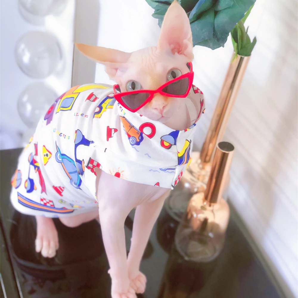 Title 8, Handsome Sphynx Cat Sunglasses Shoot Decoration...