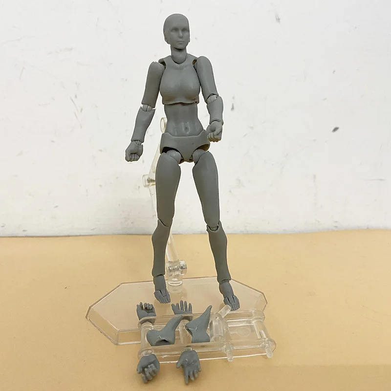 Figma Body Kun Body Chan Figure Archetype He She Ferrite