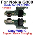 G300-Copy with IC