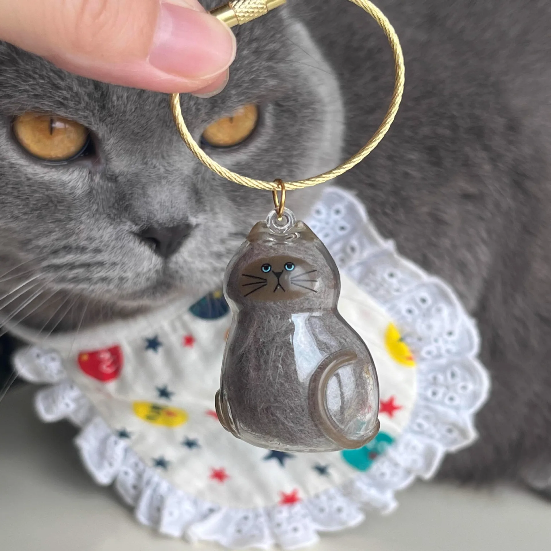 Transparent Cat Hair Storage Box Charm Gacha Cat Hair Storage Capsule Commemorative Collection Bag Keychain Pendant Transparent Cat Hair Storage Box Charm Gacha Cat Hair Storage Capsule Commemorative Collection Bag Keychain Pendant