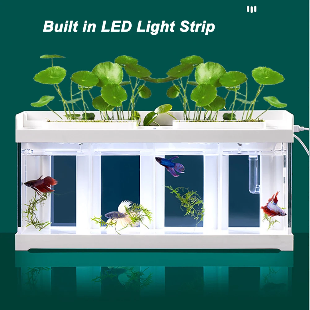 Title 8, Mini Aquarium With Filter LED Light Fish Tank S...