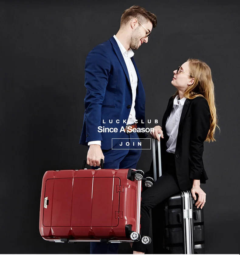Luggage Image 8