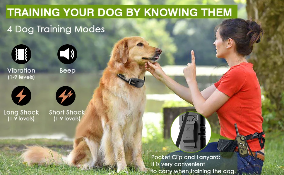 dog training collar set with remote