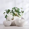 Ceramic Vases for Flowers Home Decoration Nordic Creative Modern White Eggshell Shape Household Natural Enjoy Slow Living 2