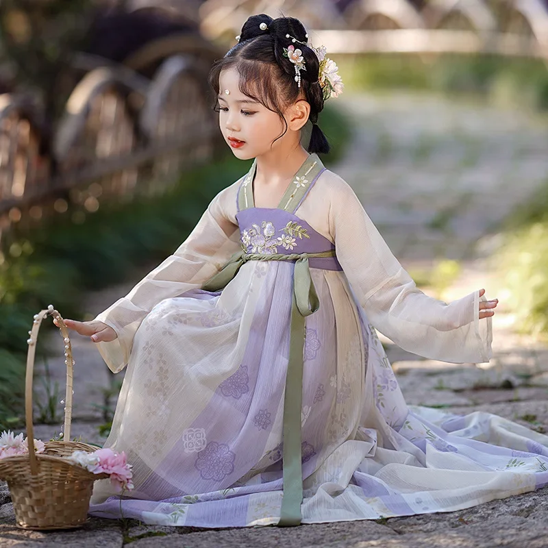 

Chinese Traditional Hanfu Costume Woman Ancient Han Dynasty Dress Oriental Princess Dress Lady Elegance Tang Dynasty Dance Wear