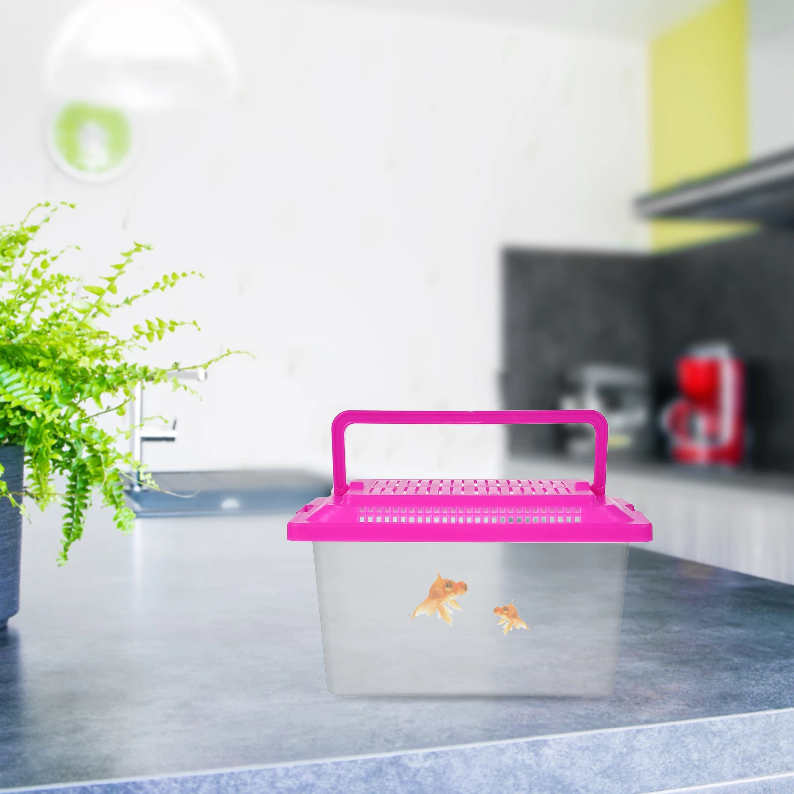 Portable Lightweight Pet Transport Box Plastic Aquarium Handheld Fish Tank Transparent Turtle Holder Creative Reptile Habitat
