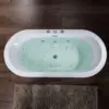 Whirlpool Water Jetted and Air Bubble Freestanding Heated Soaking Combination Bathtub Air Massage High Performance Pump 4