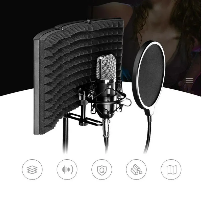 Bouclier Sonore Professionnel, Pliable Microphone Acoustique Bouclier  Mousse d'insonorisation Cube de Filtre d'isolement