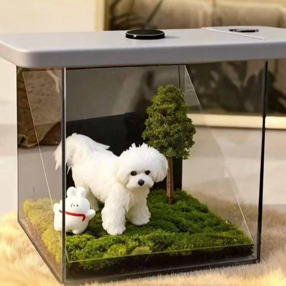 아크릴 애완동물 홀로그램 프로젝션 3D 홀로그램 디지털 프로젝션 강아지 프로젝션 박스 추모 박스 3D 애완동물 프로젝션