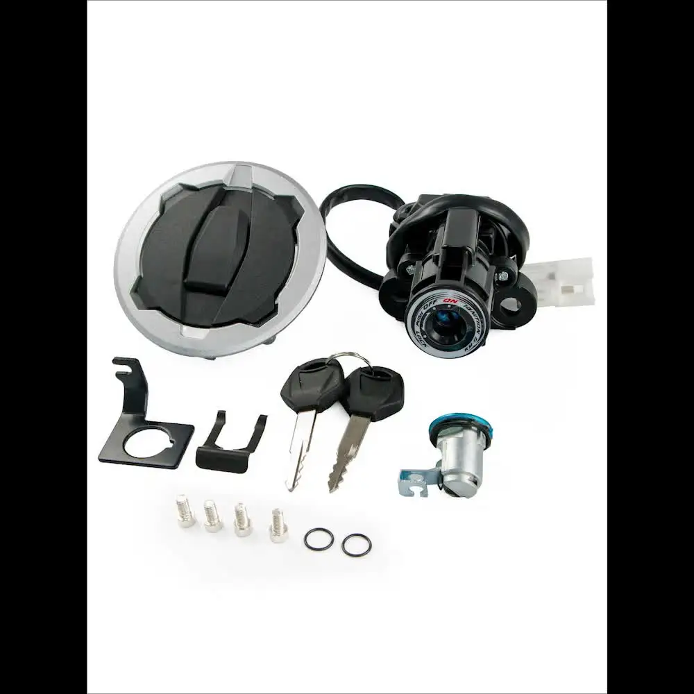 イグニッション キー スイッチ Compatible With NPS50 For Ruckus 50