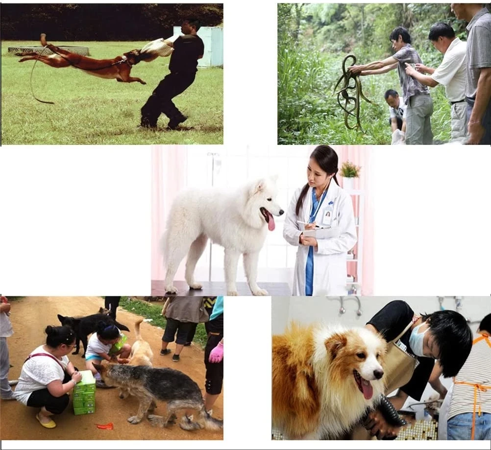 개 고양이 물림 방지 보호 장갑, 고양이 스크래치, 뱀 물린 애완 동물 장갑, 가죽 두껍게 훈련 개 물림 방지 장갑