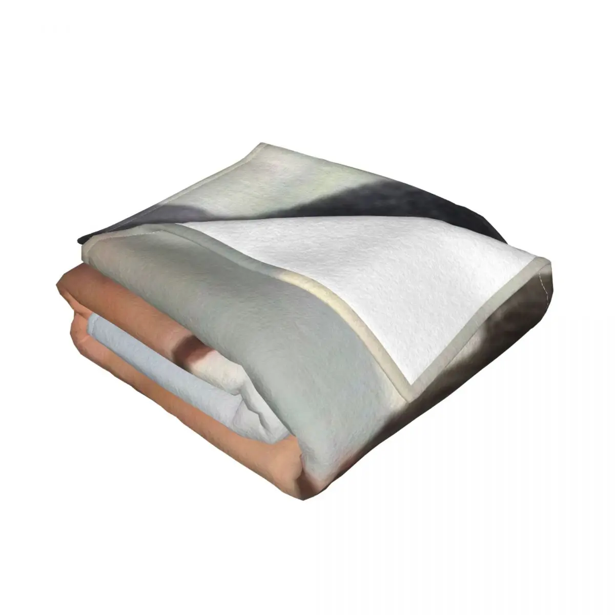 ������ �̶��� �Լ� ���� �� ������ ���, ħ�� ���, ǫ���ϰ� ǫ����, �Ŵ��� ���� ���