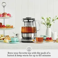 the Tea Maker Kettle, One Size, Brushed Stainless Steel 2