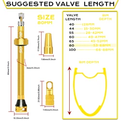 BUCKLOS Aluminum Alloy Tubeless Bicycle Presta Valves (GOLD - 80MM)