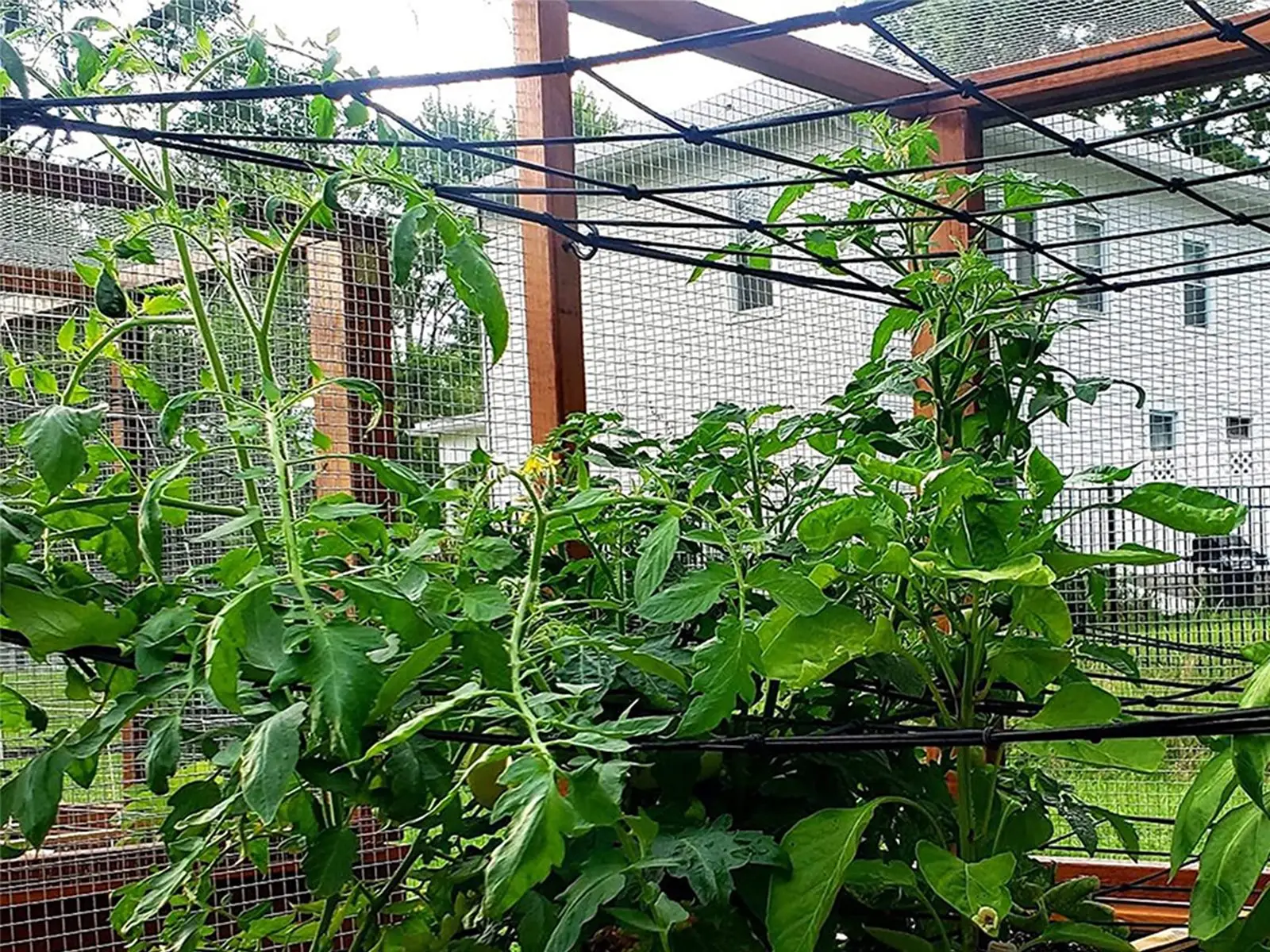 Garden Fence Mesh Grow Tents Bean Trellis Flexible Plant Climbing Steel 4/6 Hooks Home Plant Knitting Elastic Netting Farm