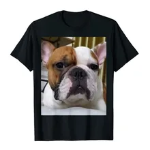

Angry French Bulldog T-Shirt Cute Dog Lover Graphic Tee Tops for Women's Fashion Clothing Mama Gifts