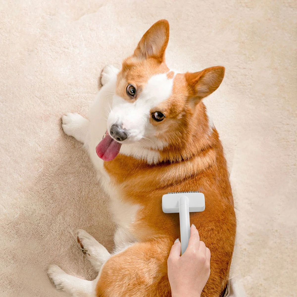 Click Hair Removal & Knot Remover Comb for Cats/Dogs, Stainless Steel Blades, Safe Detangling Tool with Ergonomic Handle 4