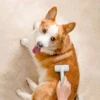 Click Hair Removal & Knot Remover Comb for Cats/Dogs, Stainless Steel Blades, Safe Detangling Tool with Ergonomic Handle 4
