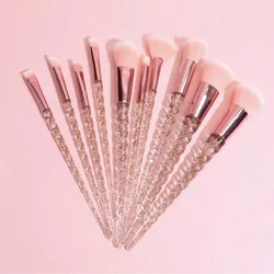 Deluxe 10 - Piece Cosmetic Beauty Brush Collection (10Zhifenseluoxuan)