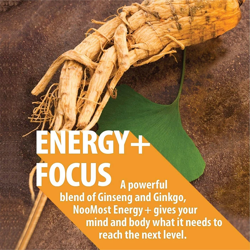 Ginseng Ginkgo Biloba Kapseln | Gedächtnis Fokus Durchblutungsunterstützung