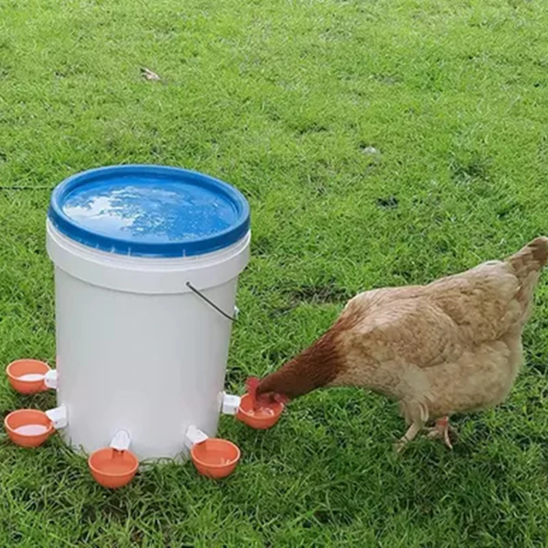 5 Pcs Chicken Drinker Automatic Poultry Drinker Bowls For Birds Poultry poultry drinking cups poultry water dispenser animal drinking bowl poultry waterer