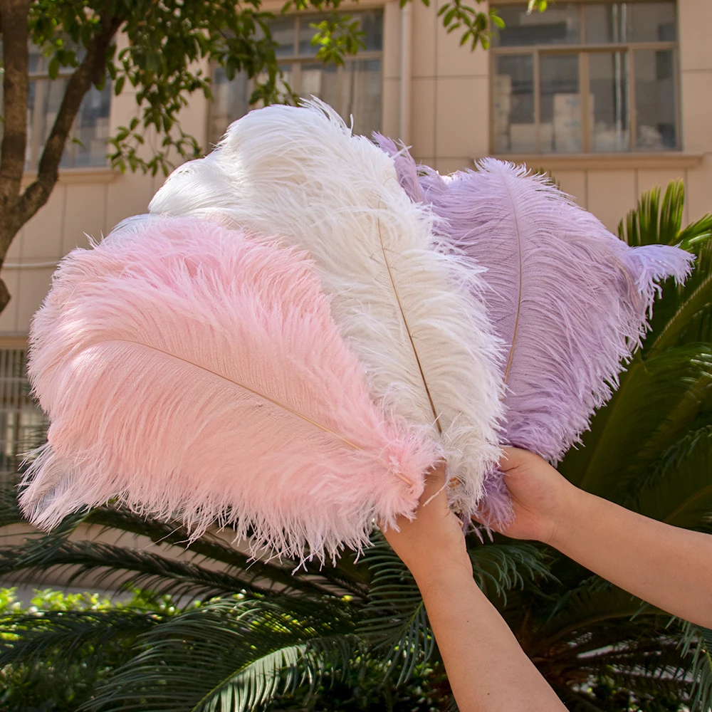 10pcs PINK Ostrich Feathers Bulk Wedding Party Home Table Centerpiece Decor  Ostrich Plumes for Vases Handicraft Accessories