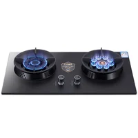 Natural Liquefied Gas Stove Explosion-Proof Tempered Glass Table Embedded Dual-Purpose Pulse Ignition Double-Head Stove 1