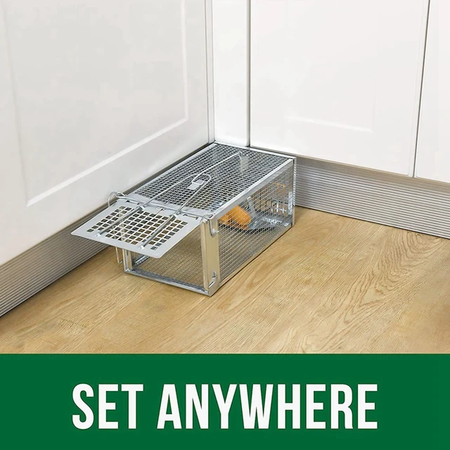 2-Pack Humane Rat Cage Traps,Live Mouse Rat Traps Catch And Release For  Indoor Outdoor,Small Animals Traps,Easy To Use - AliExpress
