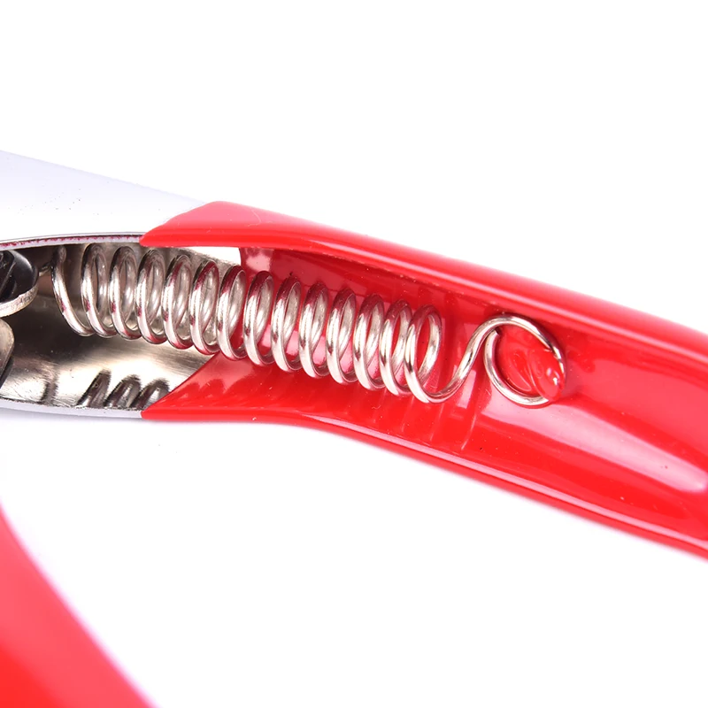 Title 5, Stainless Steel Pet Dog Cat Birds Toe Claw Nail...