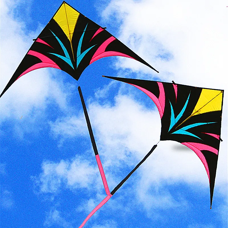 

free shipping delta kites flying for adults kites reel professional wind kites sports toys eagle kite outdoor games kite surf